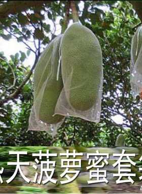 袋香蕉套袋袋模仿防虫透气木菠萝薄膜布袋套袋单蓝套袋菠萝蜜无孔