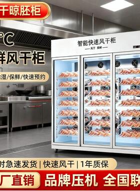 风干柜晾鸭柜烘干箱烧腊烧鹅风干机商用智能吹凉鸭胚晾胚烤鸭烧鸭