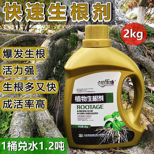 植物快速生根剂果树移植定根水苗木养护营养液树木移栽扦插生根液