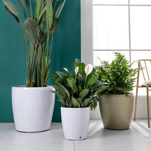 北欧简约室内客厅自吸水花盆圆形大号特大号天堂鸟龟背懒人花盆批
