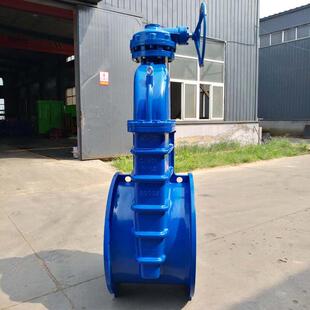 Z545X弹性座封球KHM闸阀法兰软密闸铁闸阀 厂家直销阀大口径D封N1