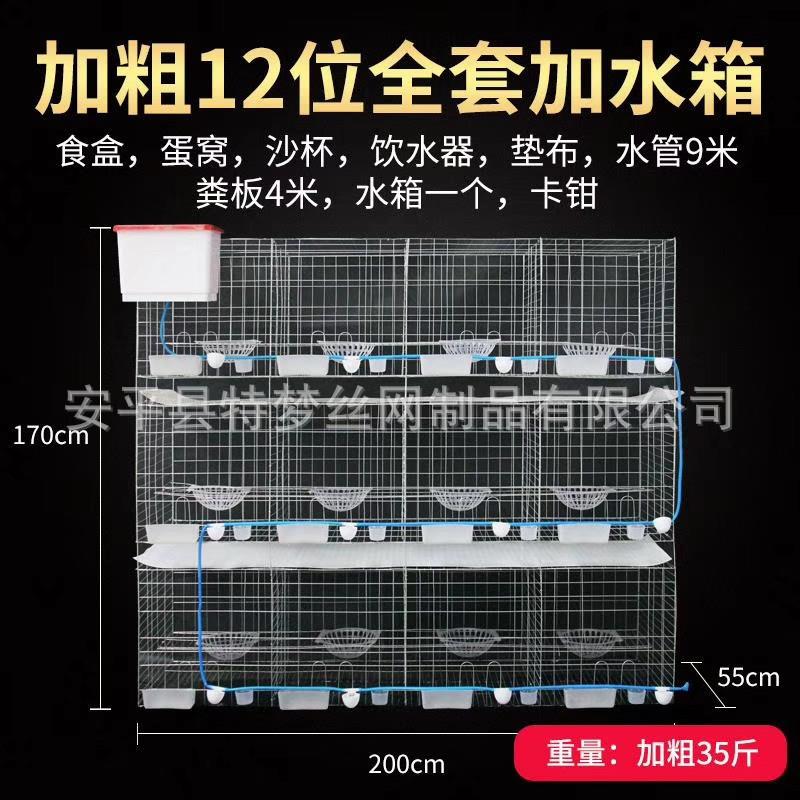 鸽笼 三层十二位鸽笼 鸽笼四层 鸽子养殖 鸽子笼网片