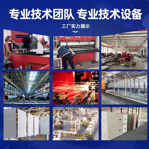 文收件柜办公室料jh-68923柜财务凭制证柜钢带锁档案柜纳铁资皮柜