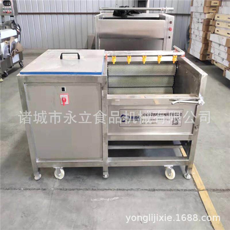 河蚌刷洗机 毛辊 贝壳类清洗去泥设备小型 毛辊清洗机 304不锈钢