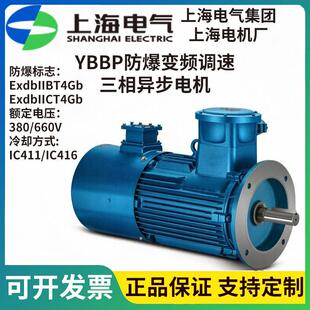 YBBP-200L2-237W380V50HzIP55防护IC411冷却适用压缩机搅拌机