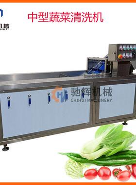 广东食品机械中型气泡臭氧清洗机自动出料多功能蔬菜清洗洗泥机