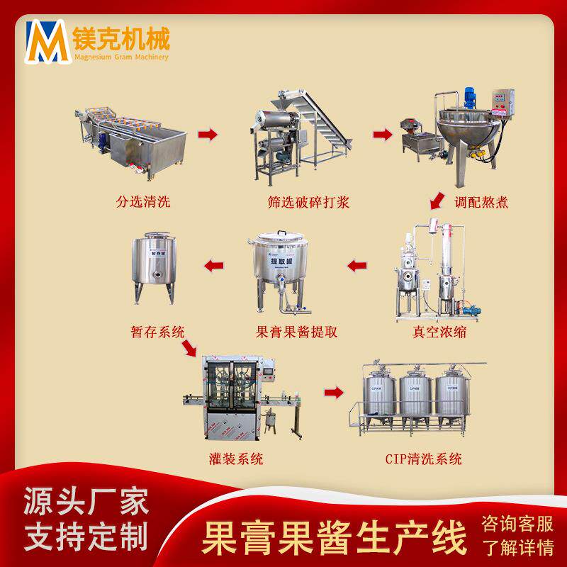 橙汁原浆饮料加工设备 黑枸杞原浆给袋式灌装机器 果汁饮料生产线