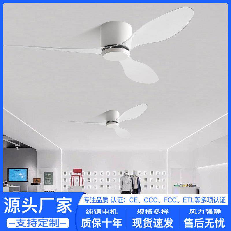 璞丽时尚透明扇叶吊扇厂家直销吸顶电风扇餐厅卧室家用静音风扇灯