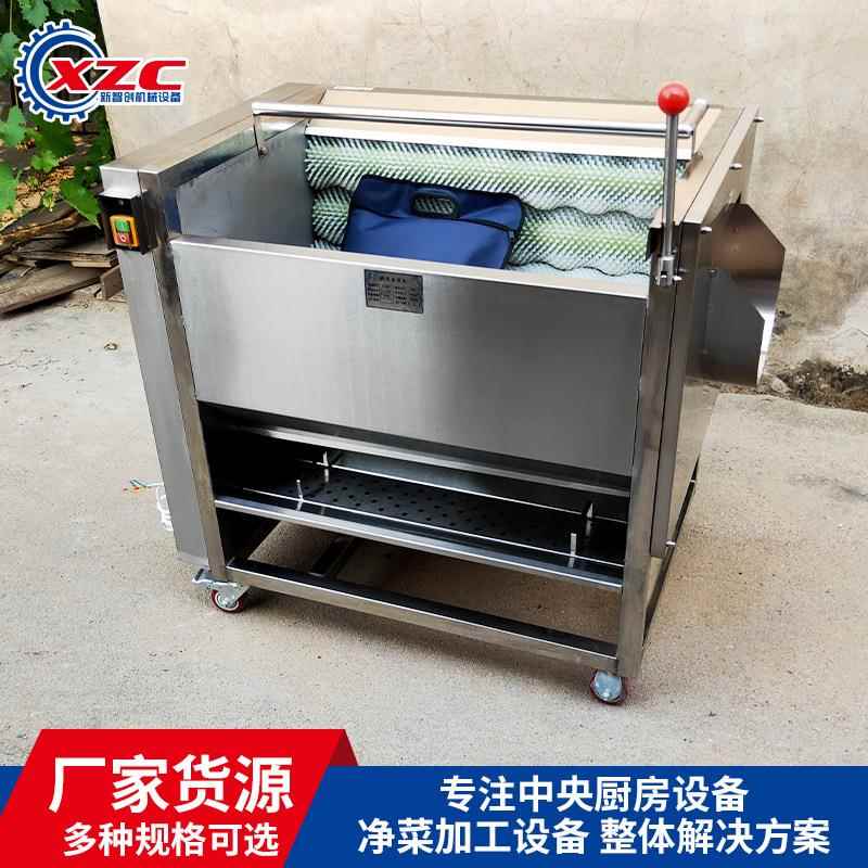 全自动果蔬毛刷清洗机柠檬洗果机土豆去皮机海南椰子清洗机