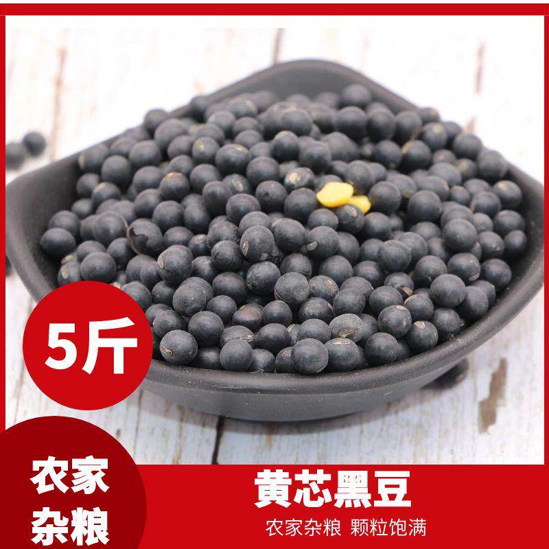 2024黑黄豆农家自产非转黄芯心小黑豆浆芽生豆芽黑小豆5斤
