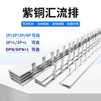 1234P空开32/63/80/100A紫铜镀锡汇流排C45接线条1P+L DPN DPN+L
