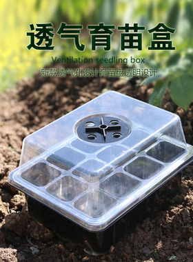 12孔24孔塑料育苗盒三件套保温保湿育苗穴盘多肉叶插盒品质货源