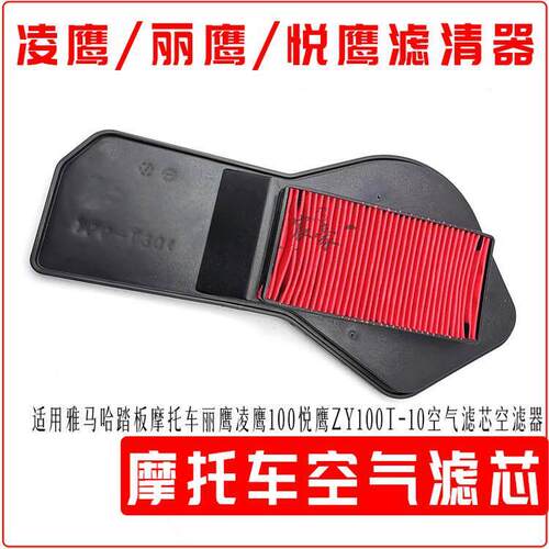 山叶踏板机车丽鹰凌鹰悦鹰100ZY100T-10-12-13空气滤芯空气滤芯器