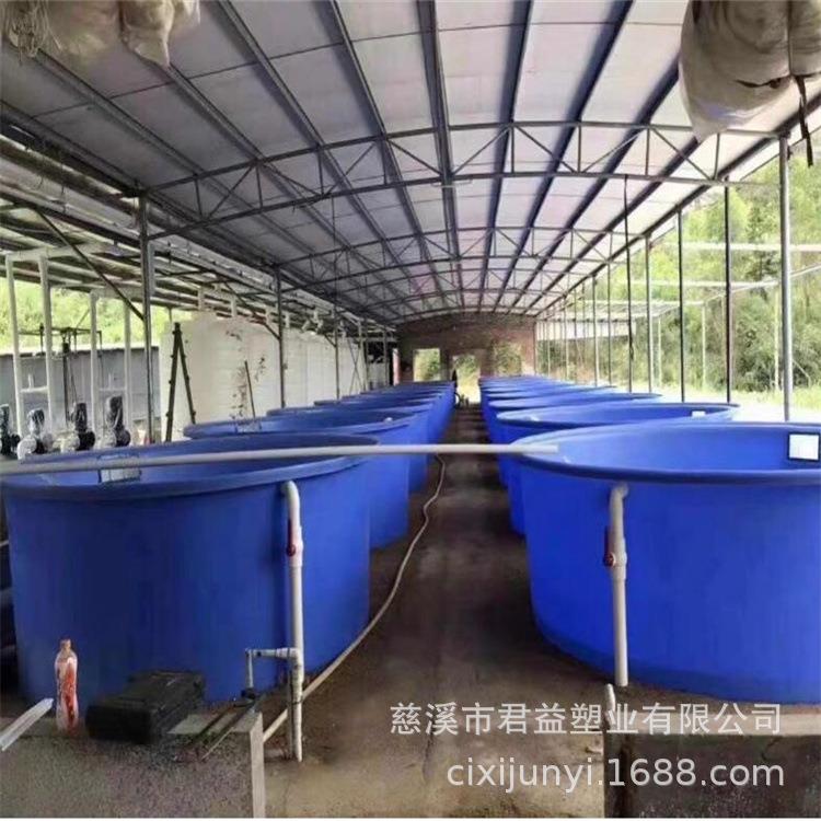 室内工厂循环水一体化养殖塑料锥形桶水产鱼苗孵化大口塑料池