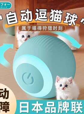 猫咪滚滚球自嗨解闷逗猫棒玩具自动逗猫球猫玩具电动