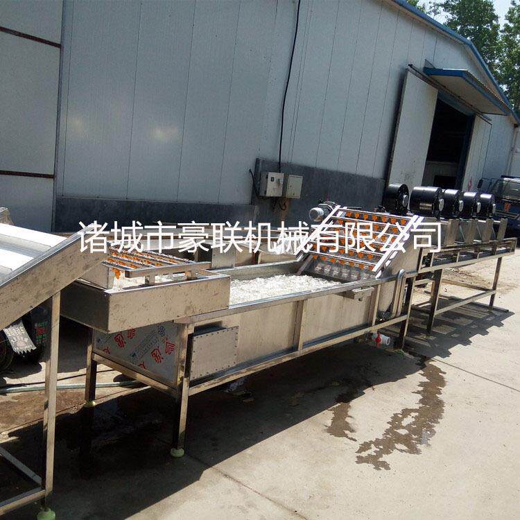 供应多用途洗菜设备 气泡式清洗机专业生 产厂家