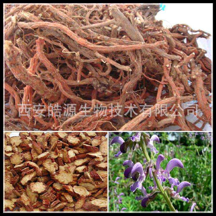 丹参提取物20:1 丹参酮植物萃取原料厂家丹参根粉一公斤起订