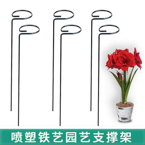 植物支伸缩杆绣球朱顶红蝴蝶兰爬藤固定架花卉防倒伏月季铁艺花架
