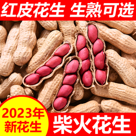 2023红皮花生新鲜山东原味，花生带壳炒熟红衣，花生晒干四粒红炒货