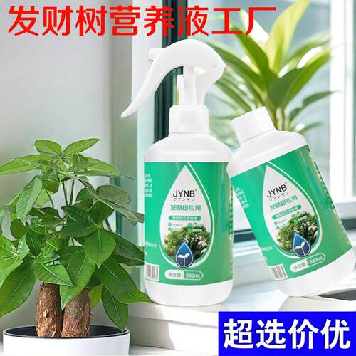 Specialized Nutrient Solution for Money Tree Fertilizer - Re