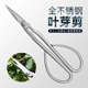 全不锈钢园艺剪叶芽剪嫩芽剪刀插花盆景枝叶剪修枝小枝剪加厚长杆