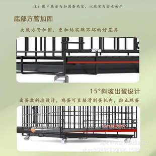 家用鸡笼养殖笼下蛋自动清粪鸡笼子滚蛋大号特大号养鸡笼子鸡舍