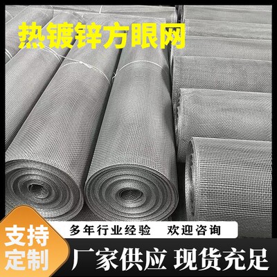 热镀铁丝网锌 方眼网过挡灰镀锌方眼滤筛网多规孔格方THP养殖铁丝
