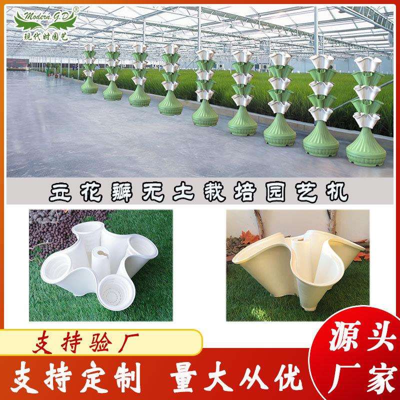 供应立体无土栽培花瓣/多层组合水培种植设备/大棚阳台创意式花架