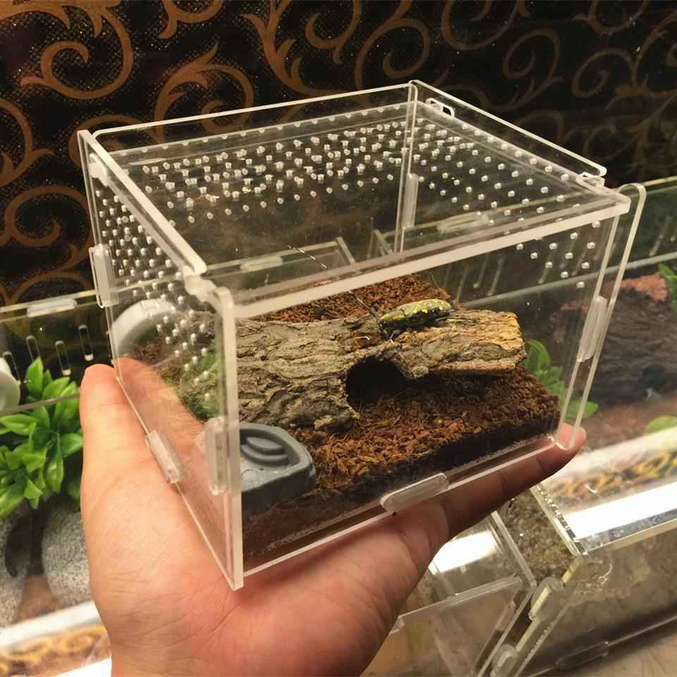 爬宠亚克力透明饲养盒小号爬虫箱爬虫盒蜘蛛