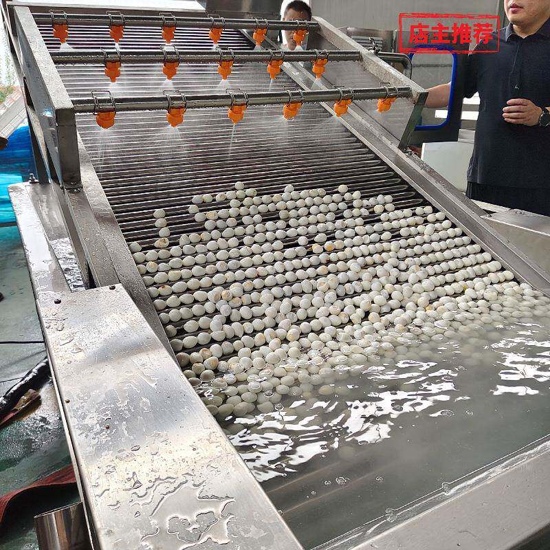 全自动鹌鹑蛋洗蛋机不锈钢水槽上蛋机商用鹌鹑蛋清洗机