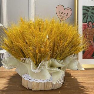 天然金色麦穗干花花束开业大麦客厅田园装饰摆件插花花蓝草编花盆