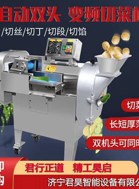 多功能商用切条机电动切菜器新型款切丝机商用自动食堂专用切菜机