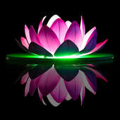 舞台装 水池仿真荷花灯 饰灯 户外小区景观灯 LED1米大莲花荷花灯