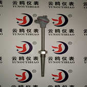 WRN 630G电厂电站锅炉用高温高压锥形热电偶 620G 630 WRM