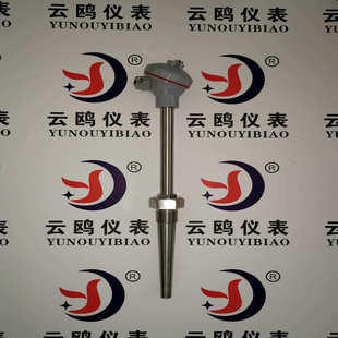 620G WRM 630G电厂电站锅炉用高温高压锥形热电偶 630 WRN