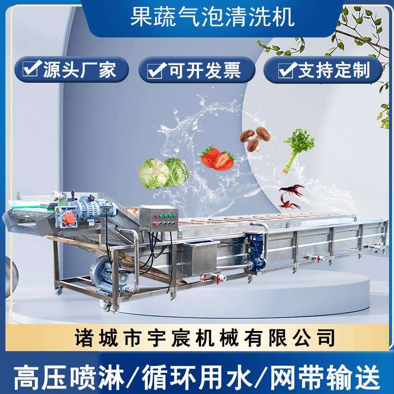 山野菜加工洗菜机芒果猕猴桃气泡清洗机包装袋油污清洗风干流水线