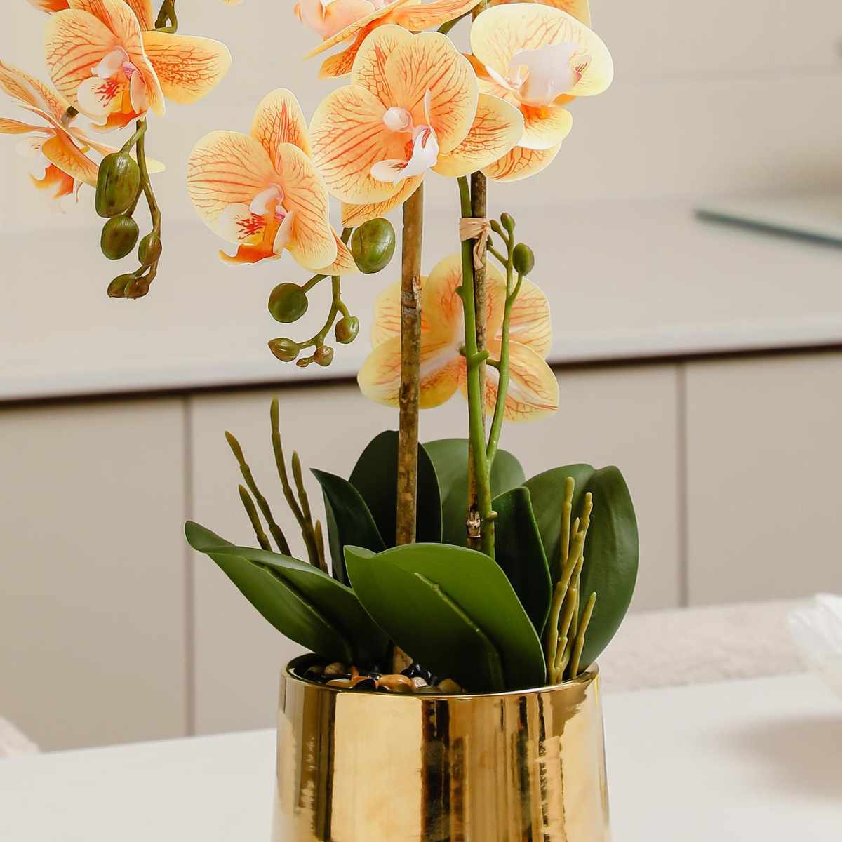 蝴蝶兰盆栽仿真花兰花单朵带盆花头带苞桌面陶瓷花盆假花头懒人盆