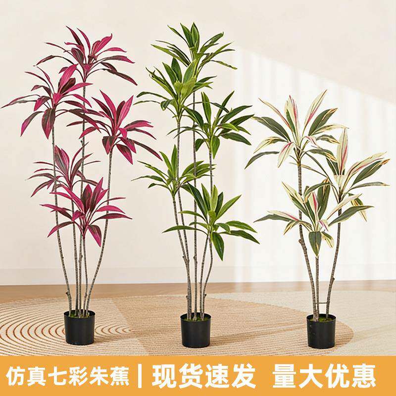 仿真七彩朱蕉绿植盆栽北欧风酒店客厅大型落地装饰办公室造景植物