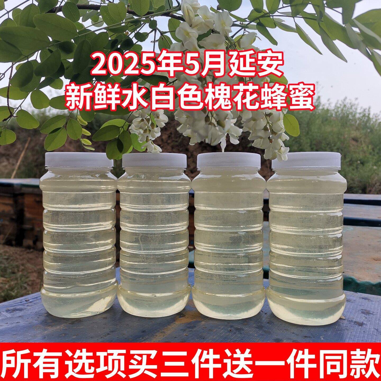 延安槐花蜂蜜2025年水白色农家自产新鲜成熟野生洋槐花蜂蜜儿童