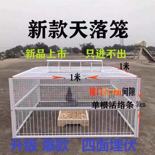 天落笼捕捉神器只进不出鸟室外鸽子笼加厚加密全自动收活络撞门野