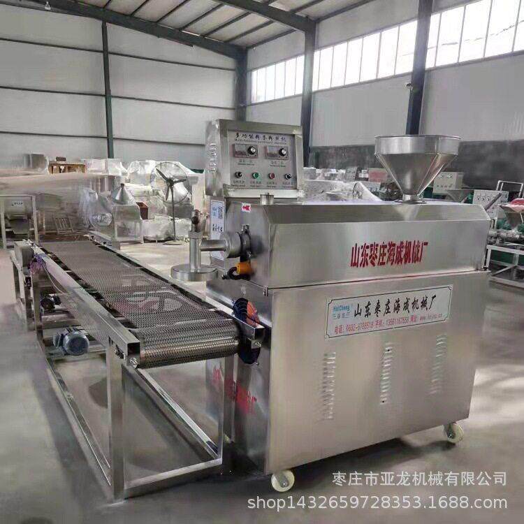 红薯粉条粉丝机 电动自熟免洗地瓜粉皮机 云南干兰片挤出机价格