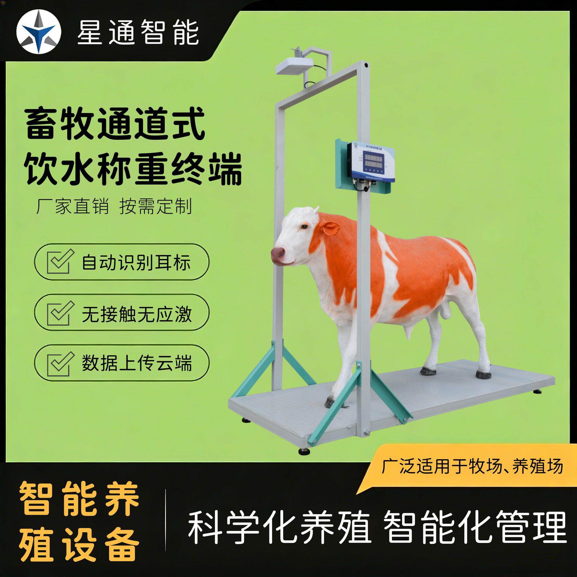 牛羊通道式饮水称重终端自动识别记录上传体积小方便安装厂家直销