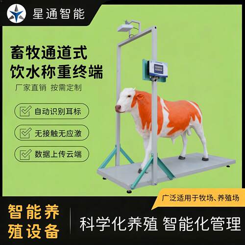 牛羊通道式饮水称重终端自动识别记录上传体积小方便安装厂家直销