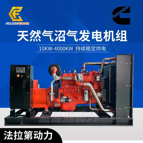 养殖场燃气发电机组 潍坊系列20kw 30kw 50kw 80kw沼气池发电机