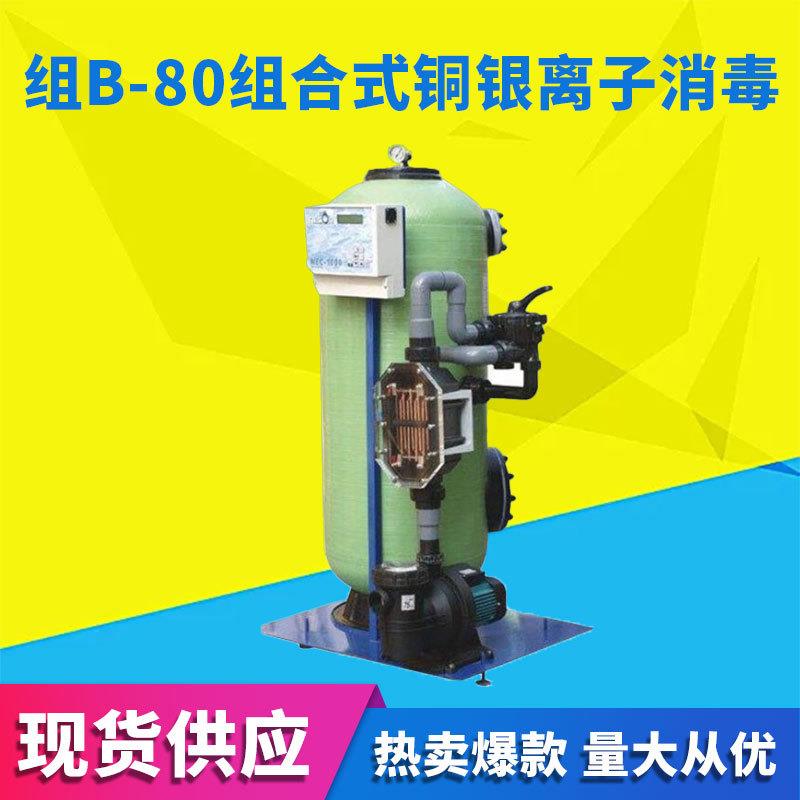 厂家供应 B-80组合式铜银离子消毒 大型游泳池设备游泳池工程设备