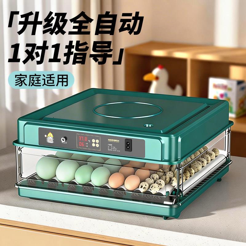 家用小型智能孵蛋器 自动孵化机器 适用小鸡鸭鹅孵蛋箱