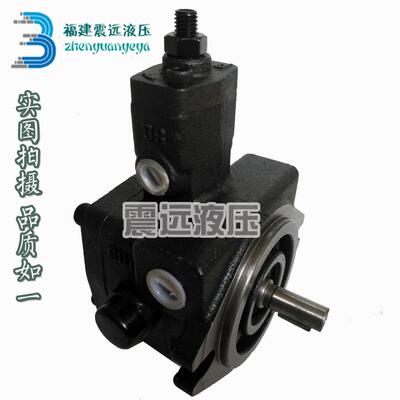 新品液压油泵双联变叶泵片泵VP-30-FAP3+量S V-40OFF-FA3+S串泵