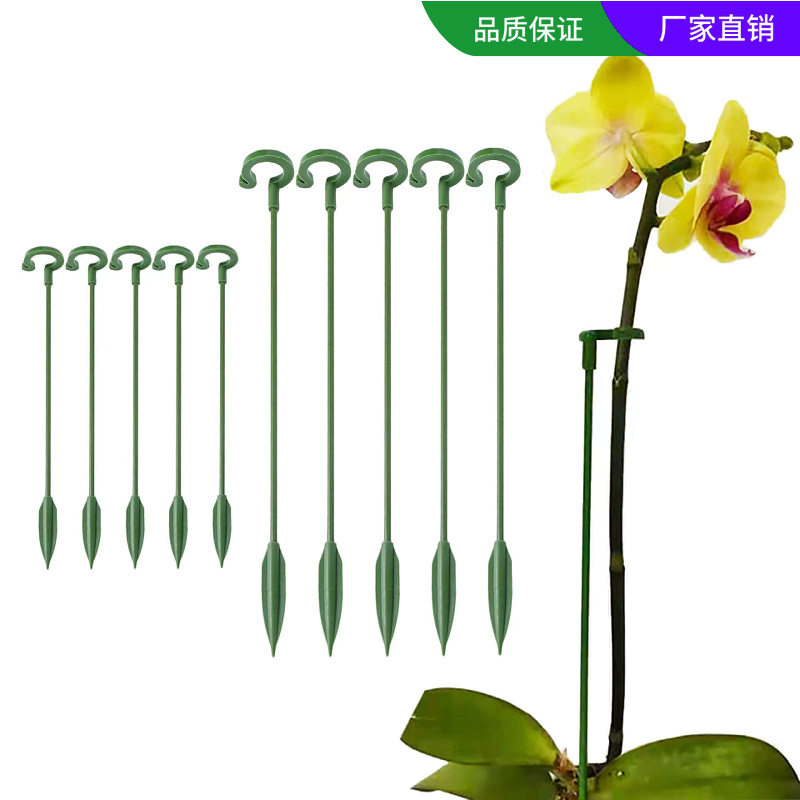 蝴蝶兰专用花架支架园艺用品套装