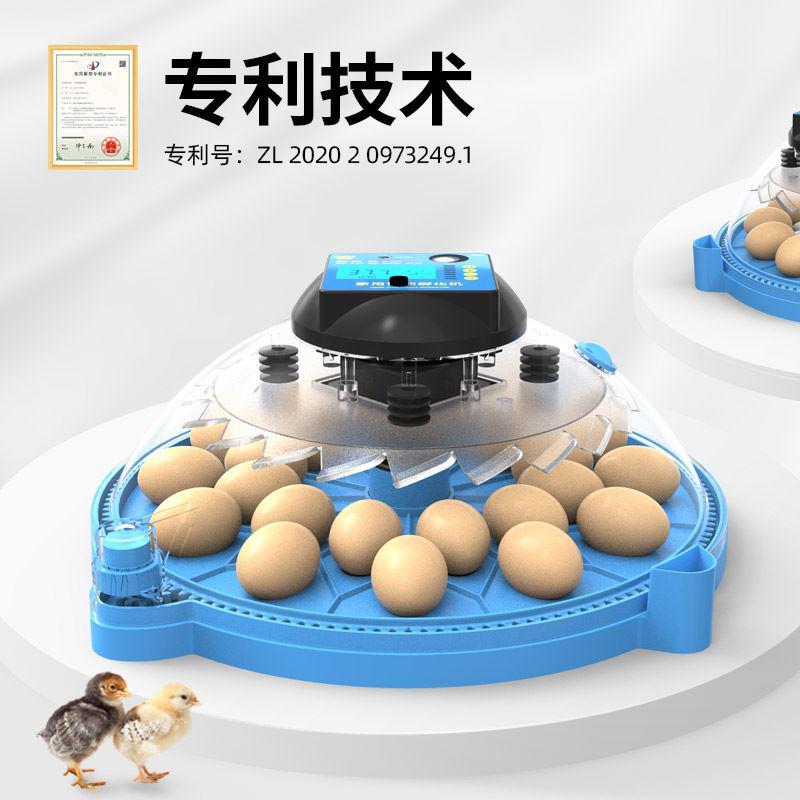 全自动孵蛋器家用小鸡孵化器迷你玄风鹦鹉芦丁鸡孵化箱A8小飞碟