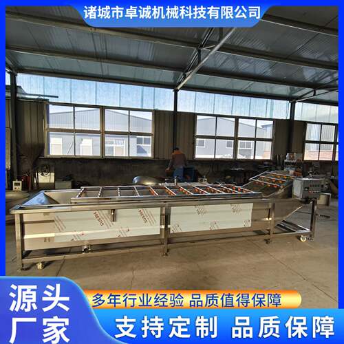 全自动果蔬气泡清洗机丝瓜络叶菜类高压喷淋清洗装置净菜生产线